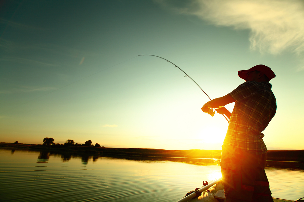 fishing on palmer lake