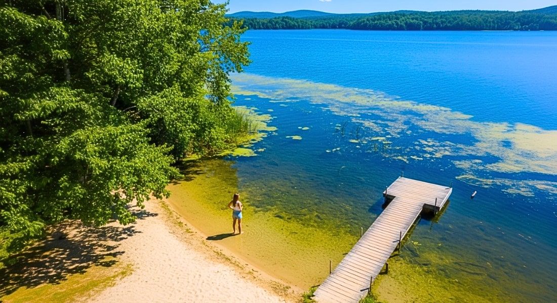 How Lake Markets Work